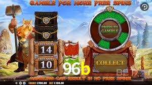 Premium Interface 96b
